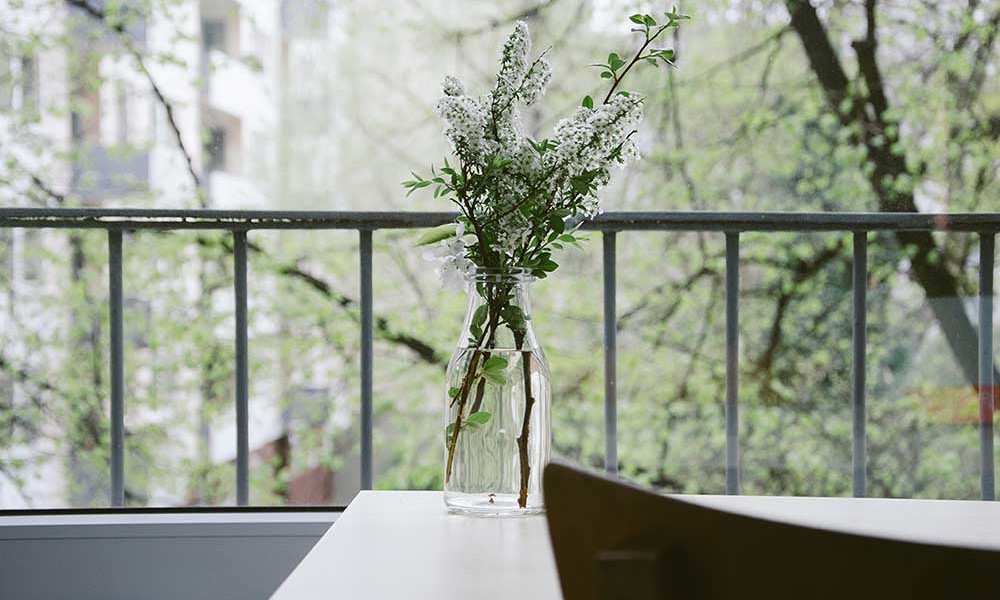 flowers in front of window