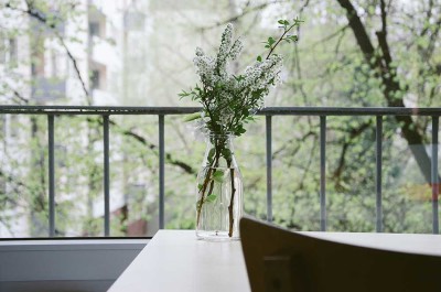 flowers in front of window